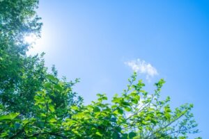 カウンセリングお客様の声