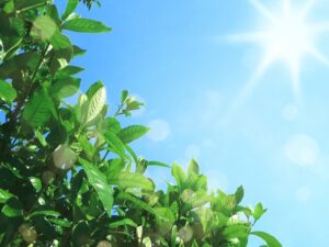 カウンセリングお客様の声