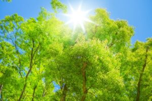 カウンセリングお客様の声